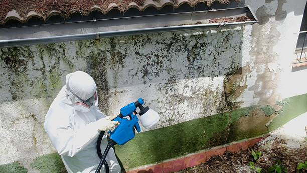 Top rated local Mold Remediation specialists in New Columbia, PA
